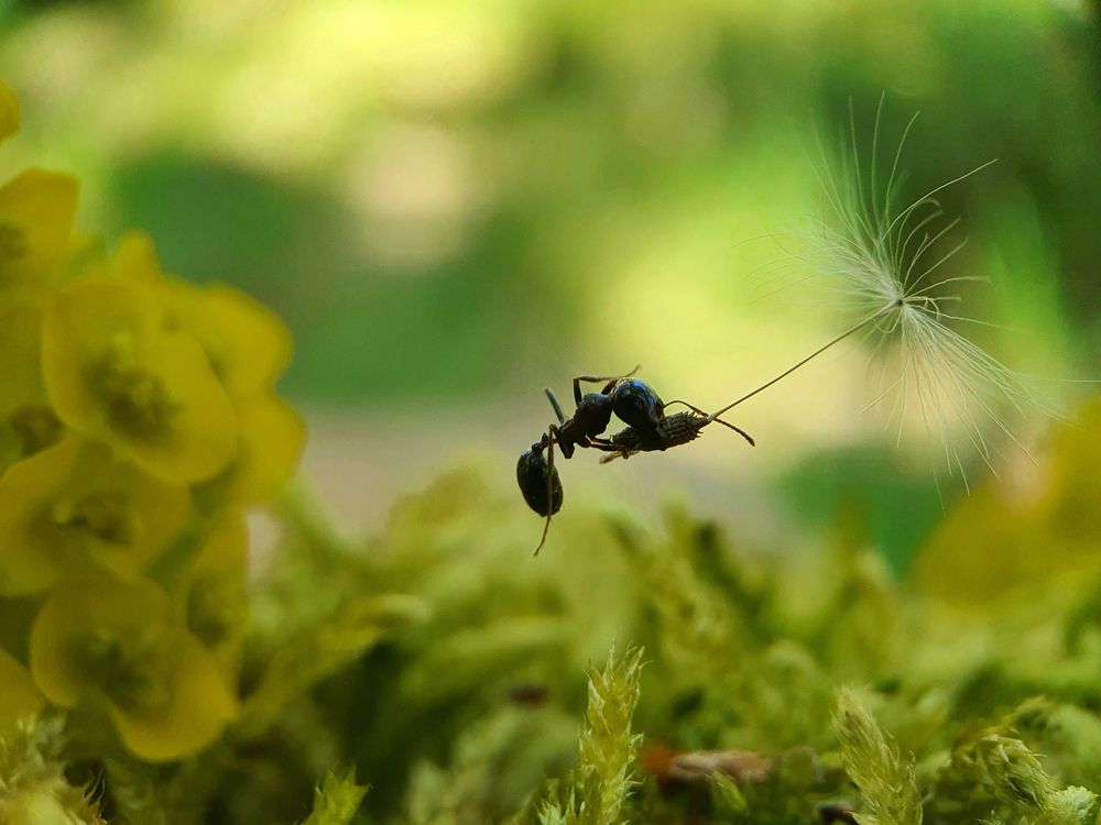 Photograph by FABIO SARTORI