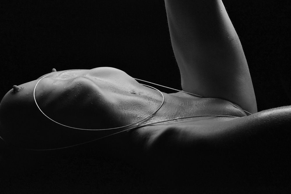 Фотография автора Гаврюшов Михаил