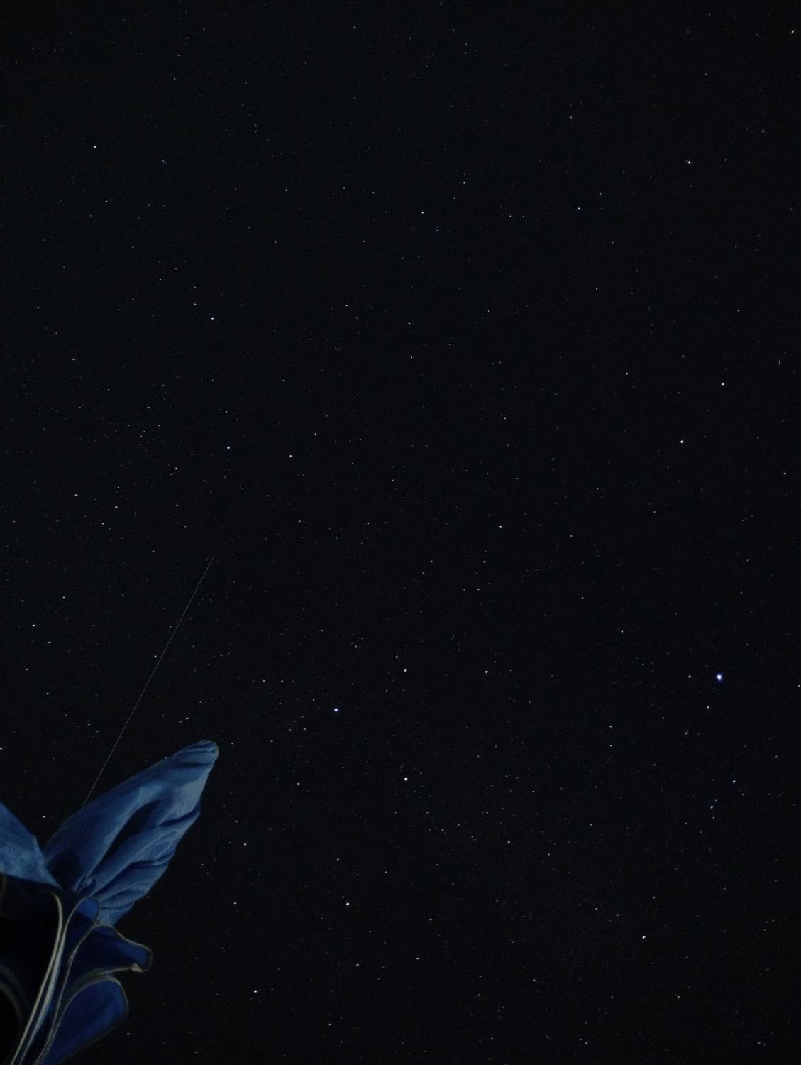 Photo #9410893