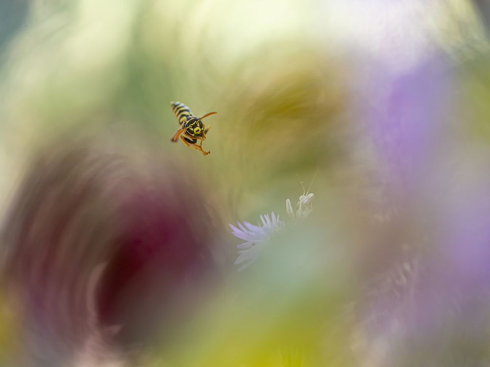 Photograph by FABIO SARTORI