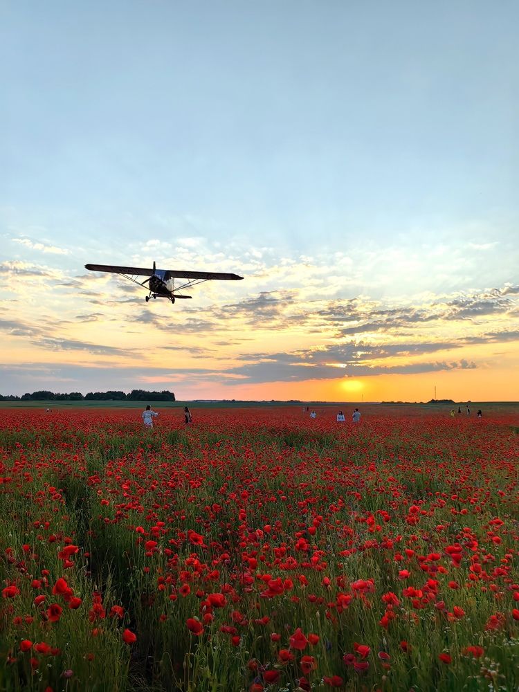 Photograph by Елизавета Лай