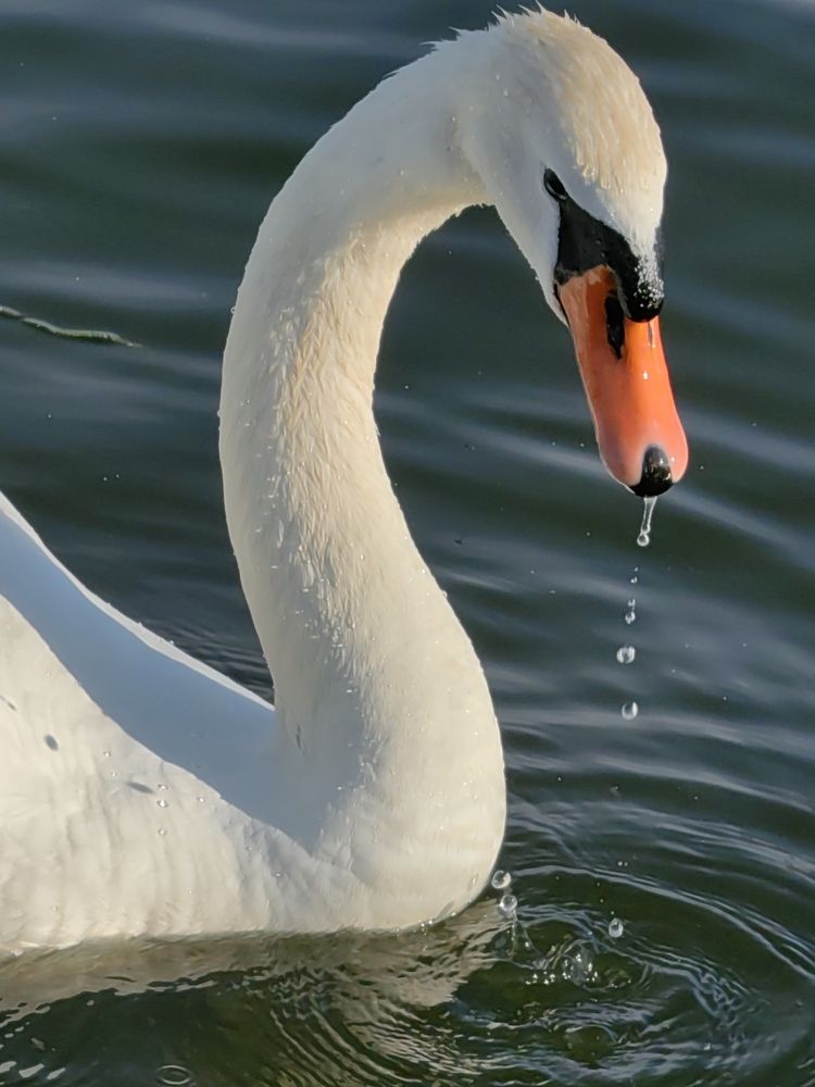 Photograph by Елизавета Лай