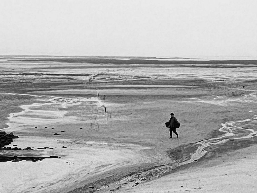 Photograph by Shayne