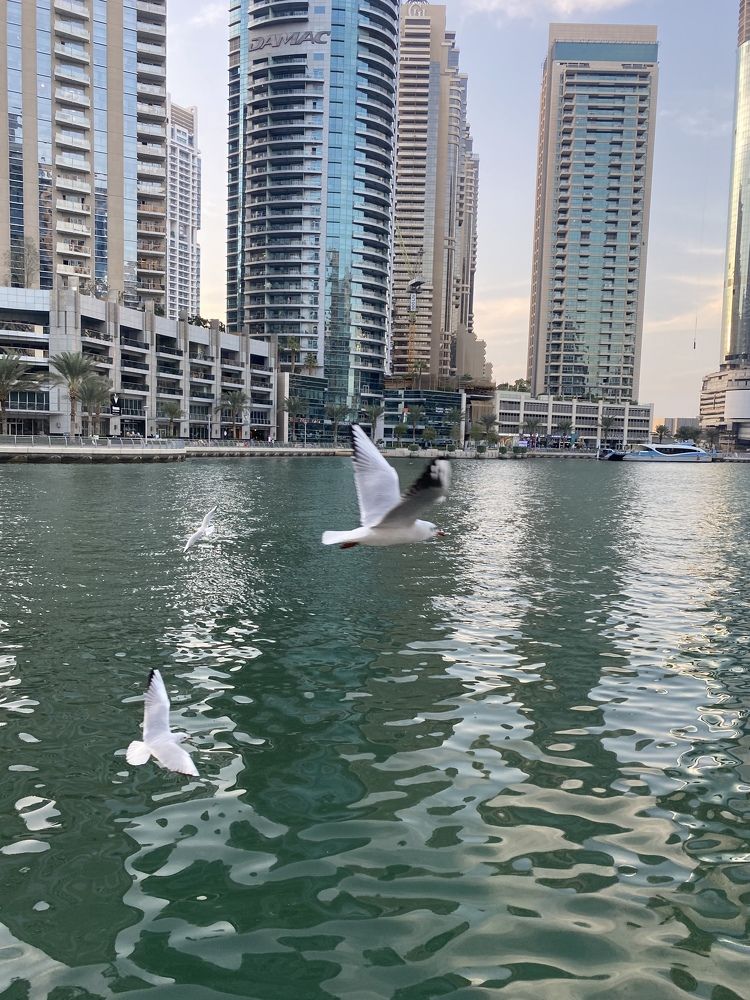 Photograph by Arzu Mammadbayova