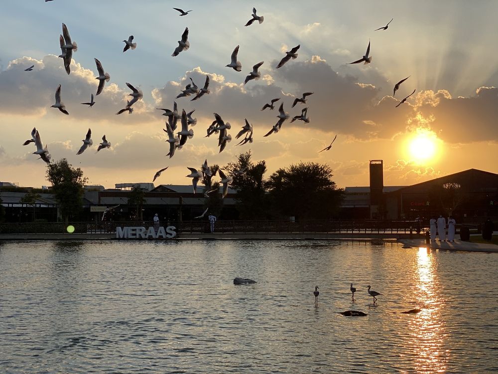 Photograph by Arzu Mammadbayova