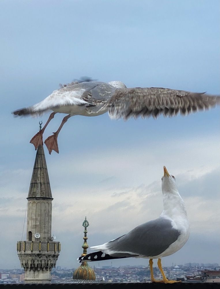 Photograph by Arzu Mammadbayova