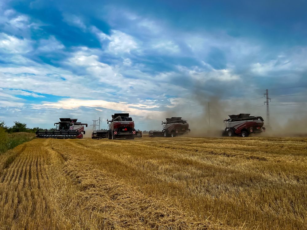 Photograph by Елена Сиушова