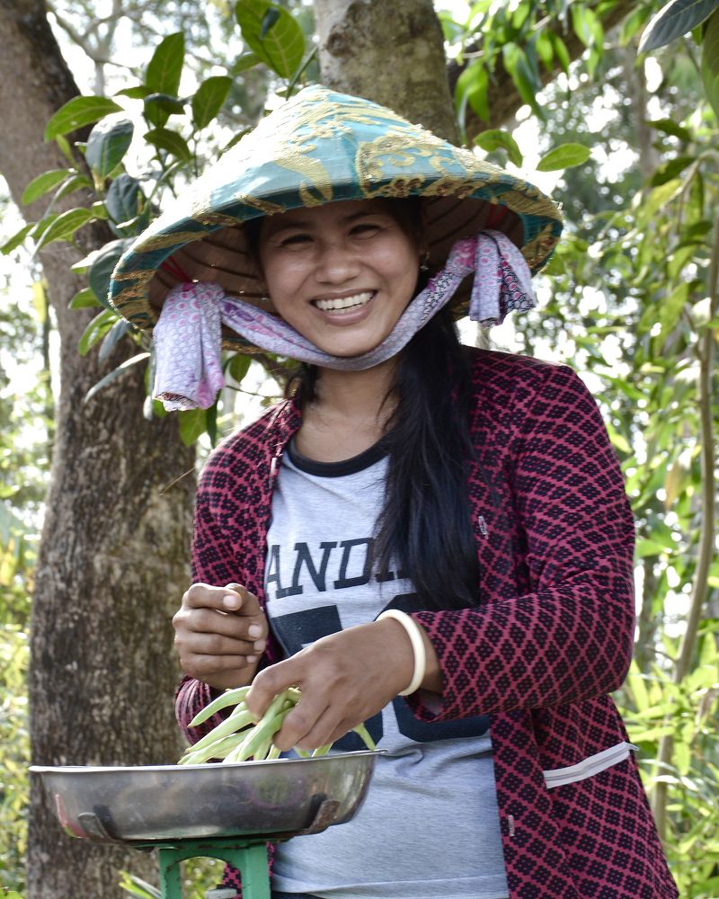 Photograph by HIEU LIEM DO