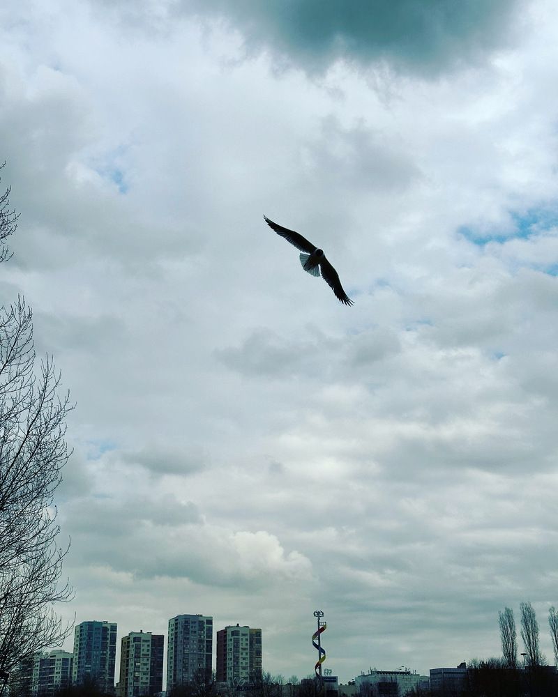 Photograph by Ольга Галкина