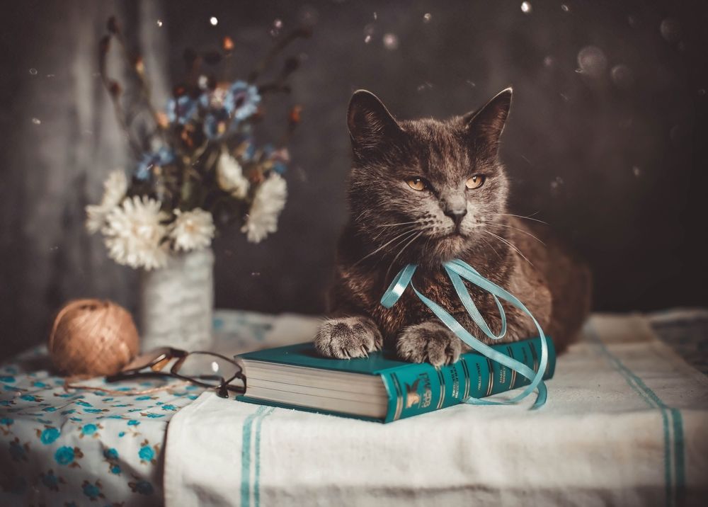 Photograph by Татьяна Рогожа