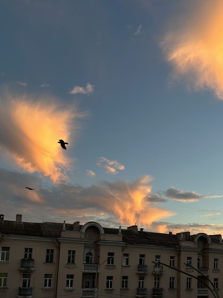 Photograph by Алина Дыленок