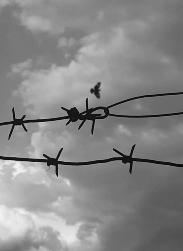 Photograph by Александр Шаварёв