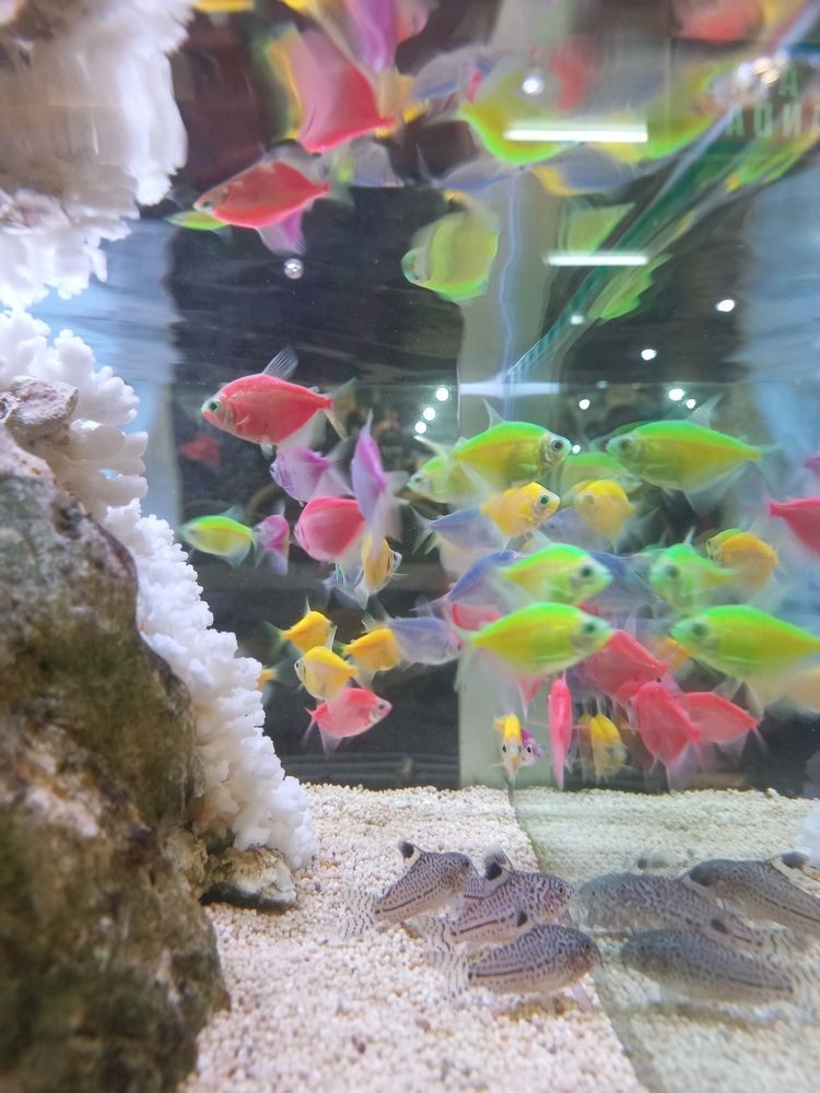 Photograph by Pujo Cahyono