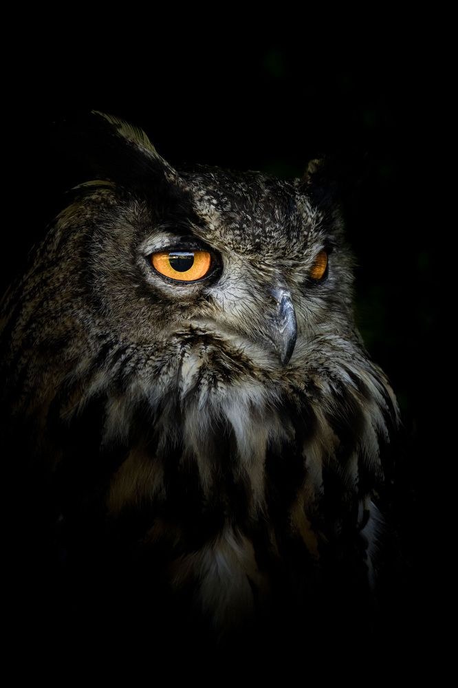 Photograph by Markéta Mastešová