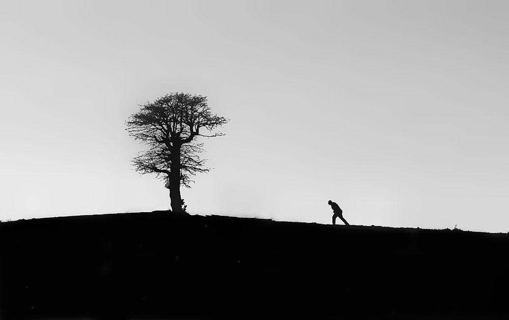 Photograph by Masoumeh Rahimi