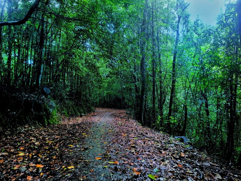 Photograph by Pramodha Madushani Ponnamperuma