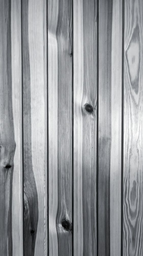 Photograph by Александр Казак