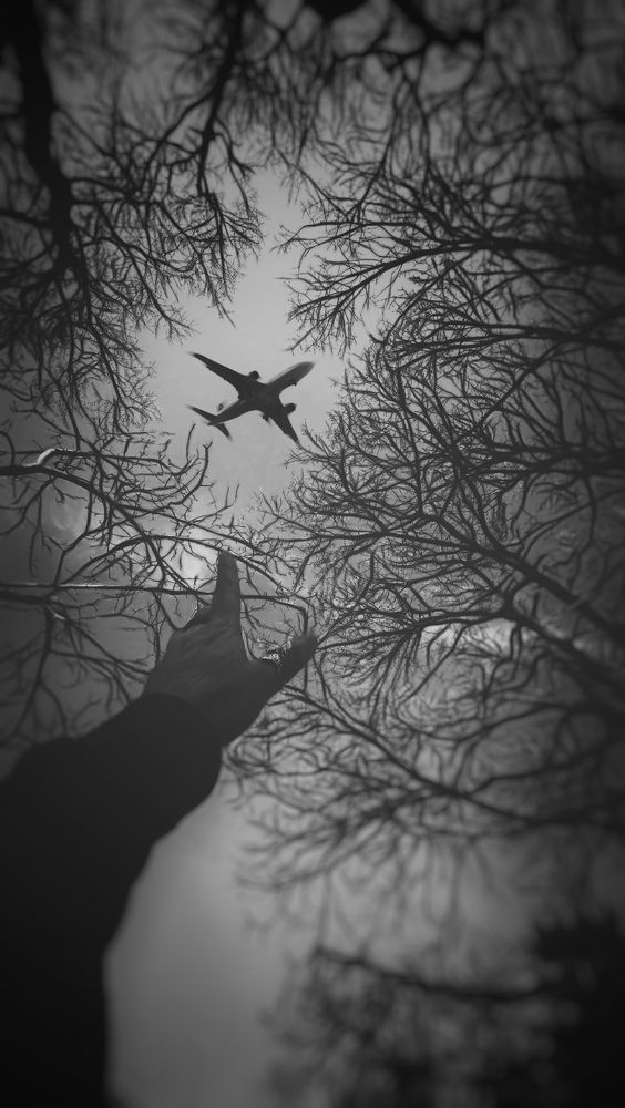 Photograph by Екатерина Мурсынина