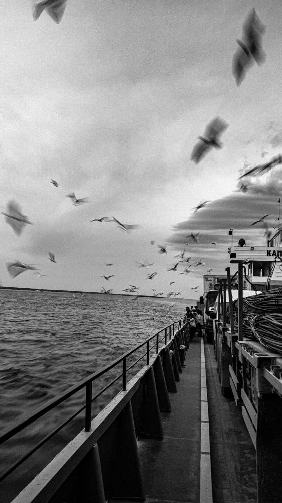 Photograph by Максим Фомин