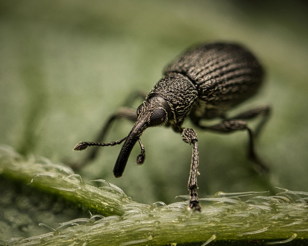 Photograph by Евгения Прокопович