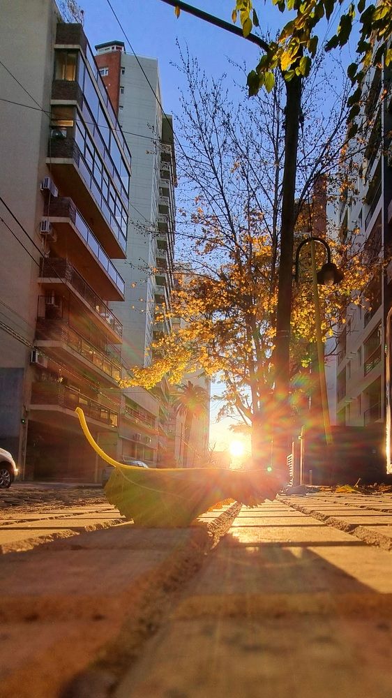 Photograph by Argenis Soto