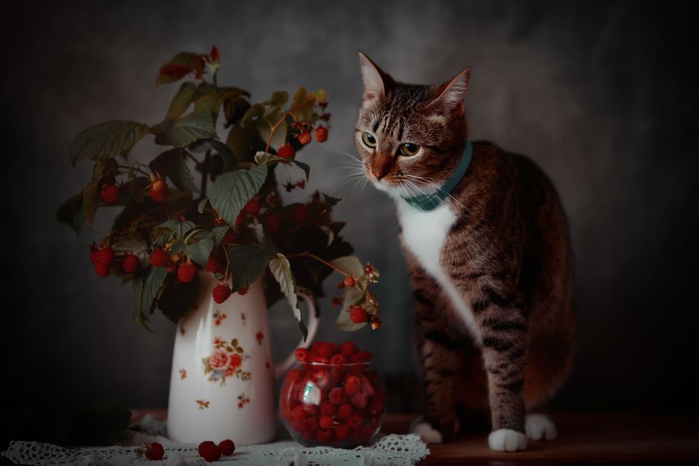 Photograph by Татьяна Звада