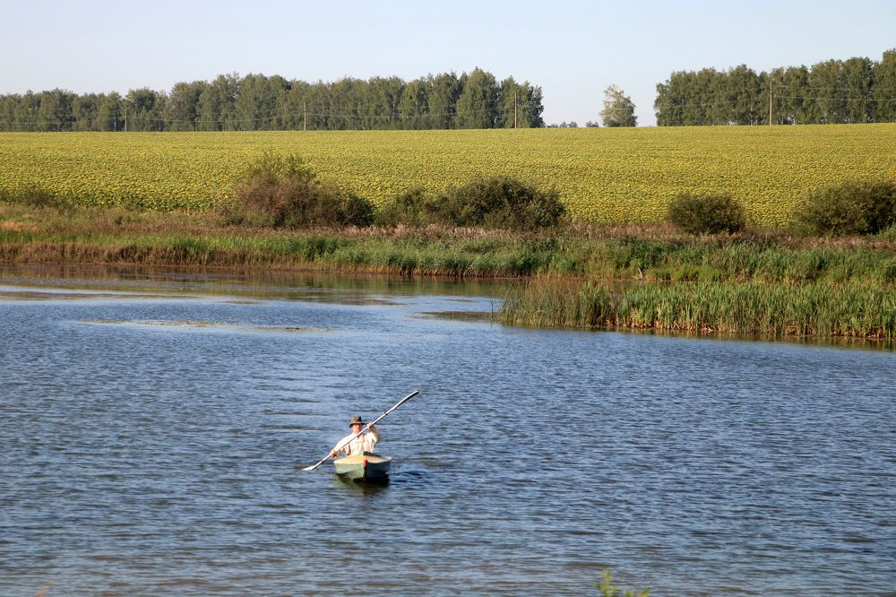 родные просторы
