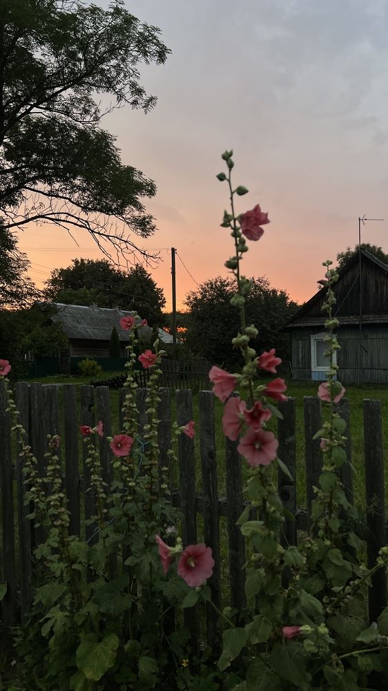 Photograph by Елена Зенкевич