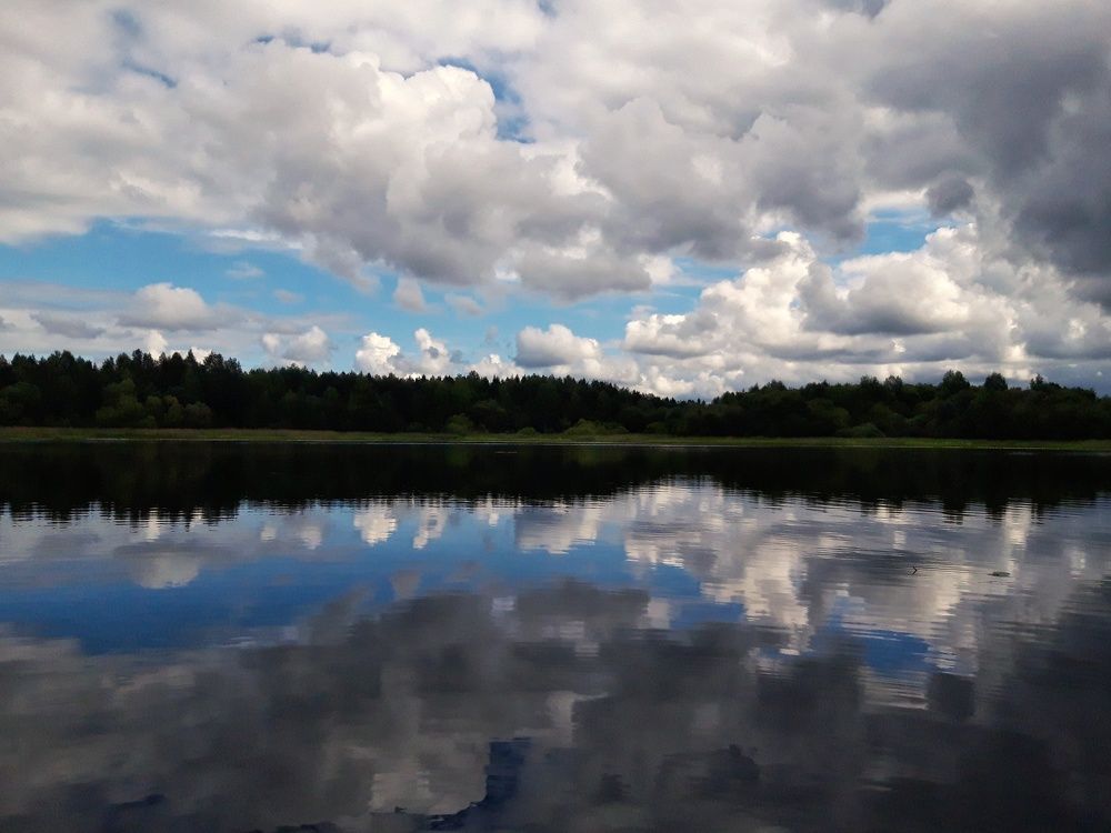 Photograph by Angelica Medvedeva