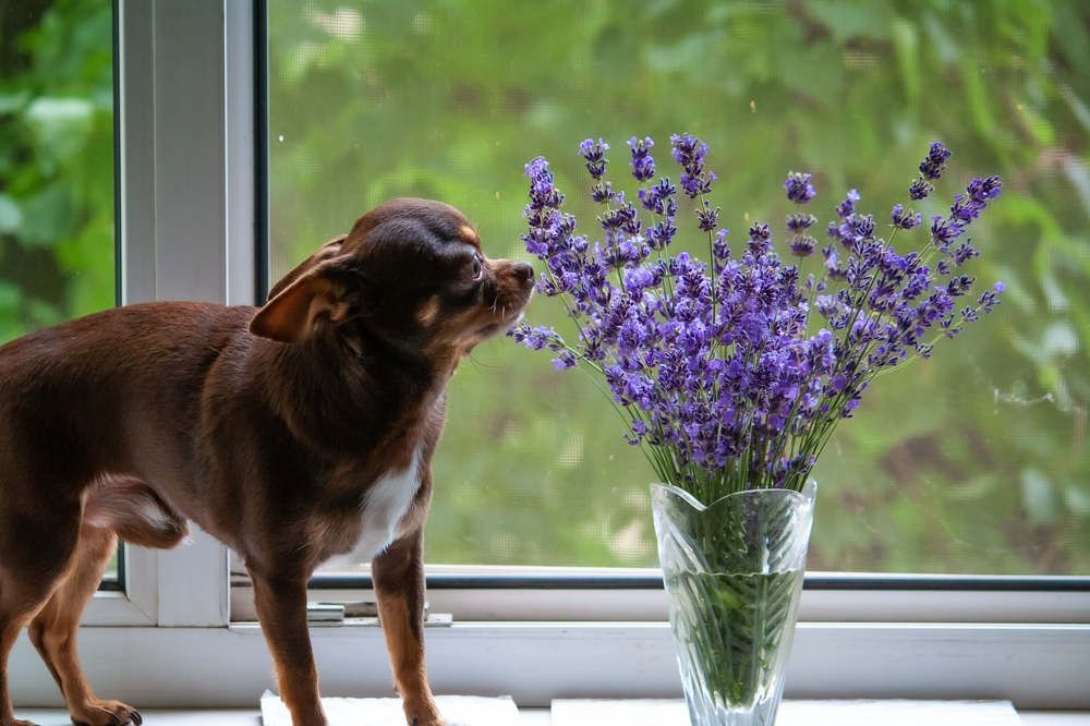 Photograph by Данильчук Алёна