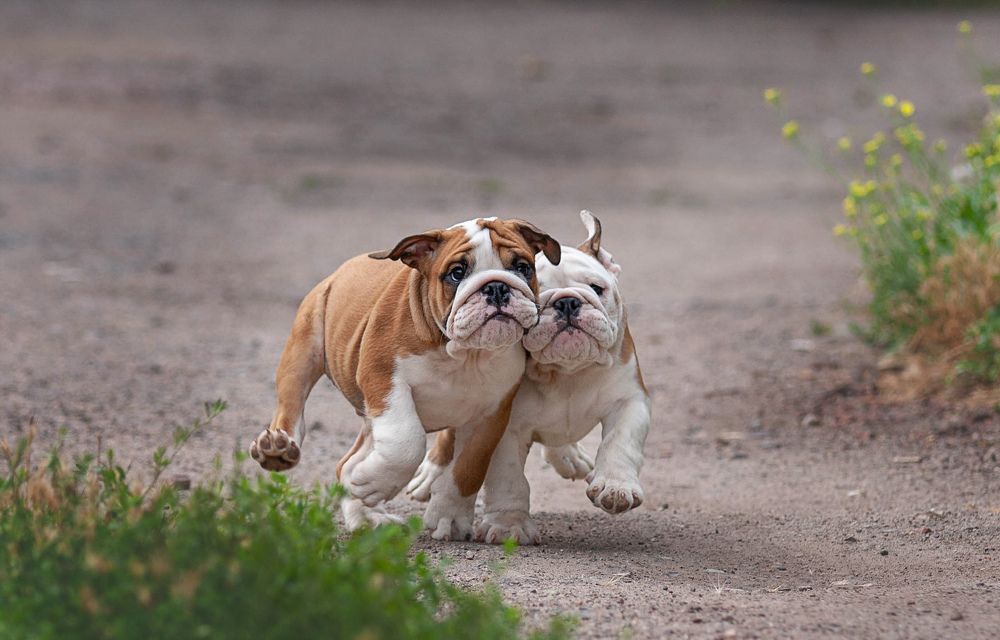 Photograph by Данильчук Алёна