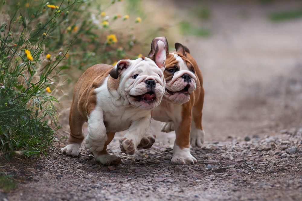 Photograph by Данильчук Алёна