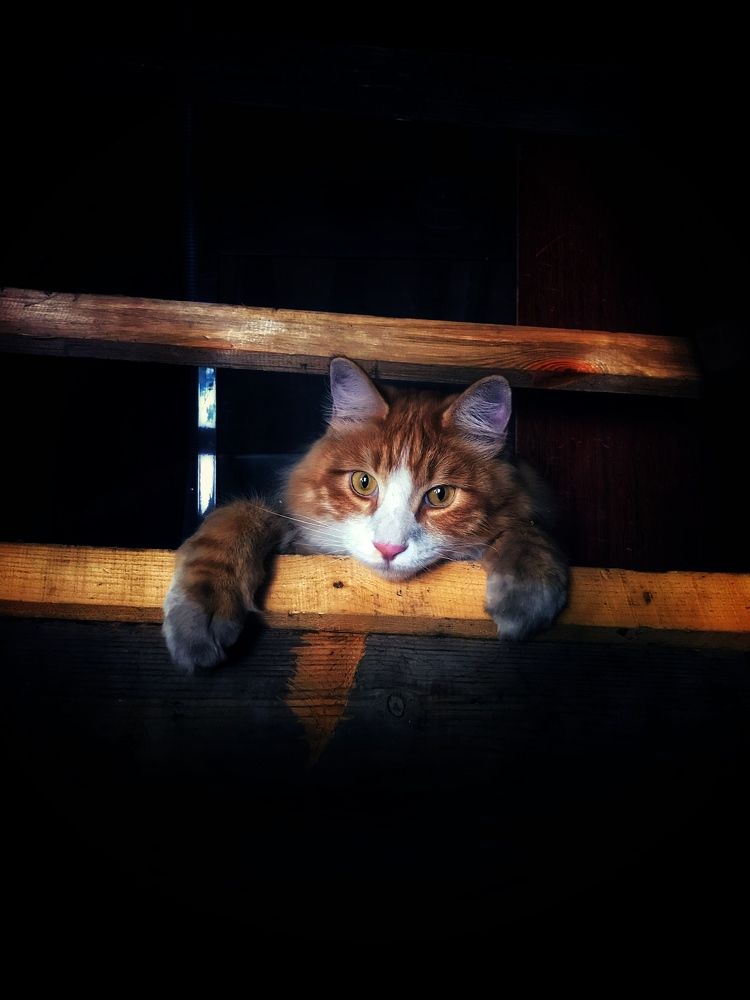 Photograph by Артемий