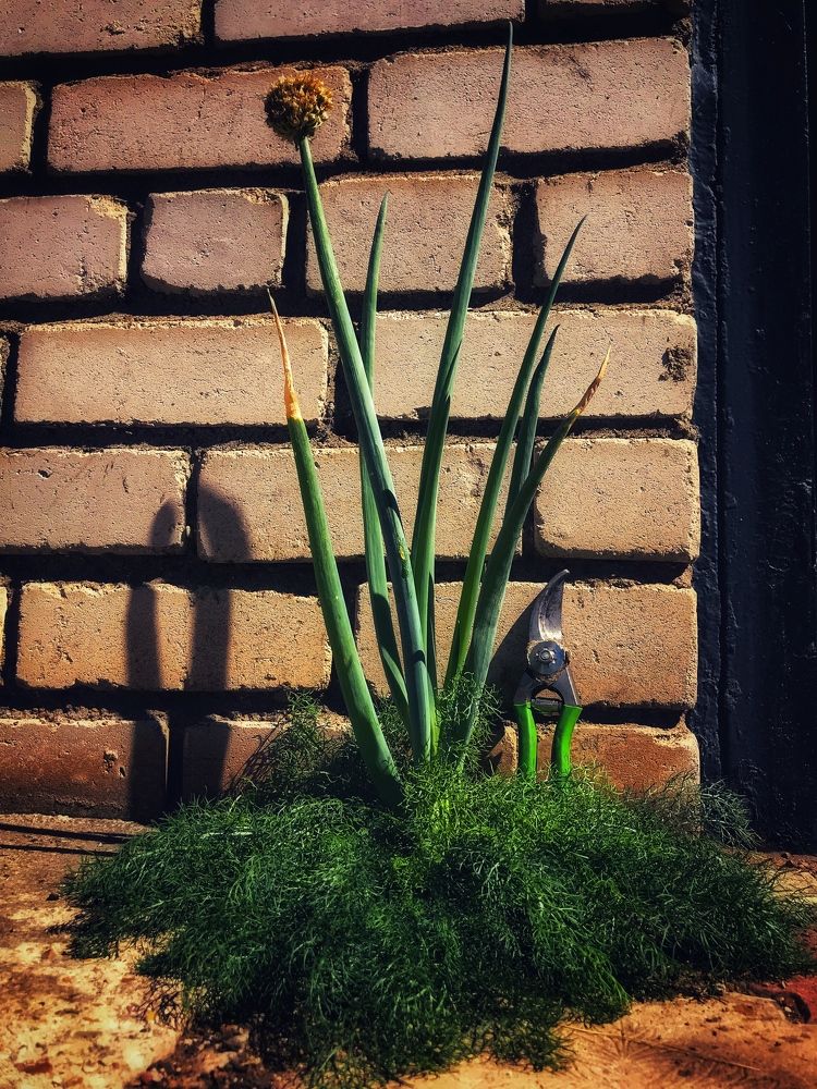 Photograph by Артемий