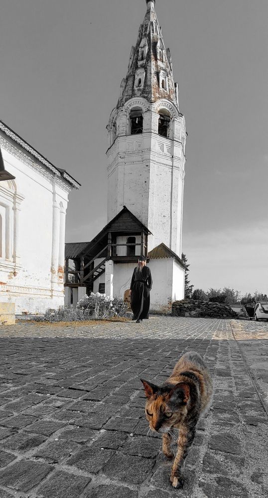 Photograph by Юлия
