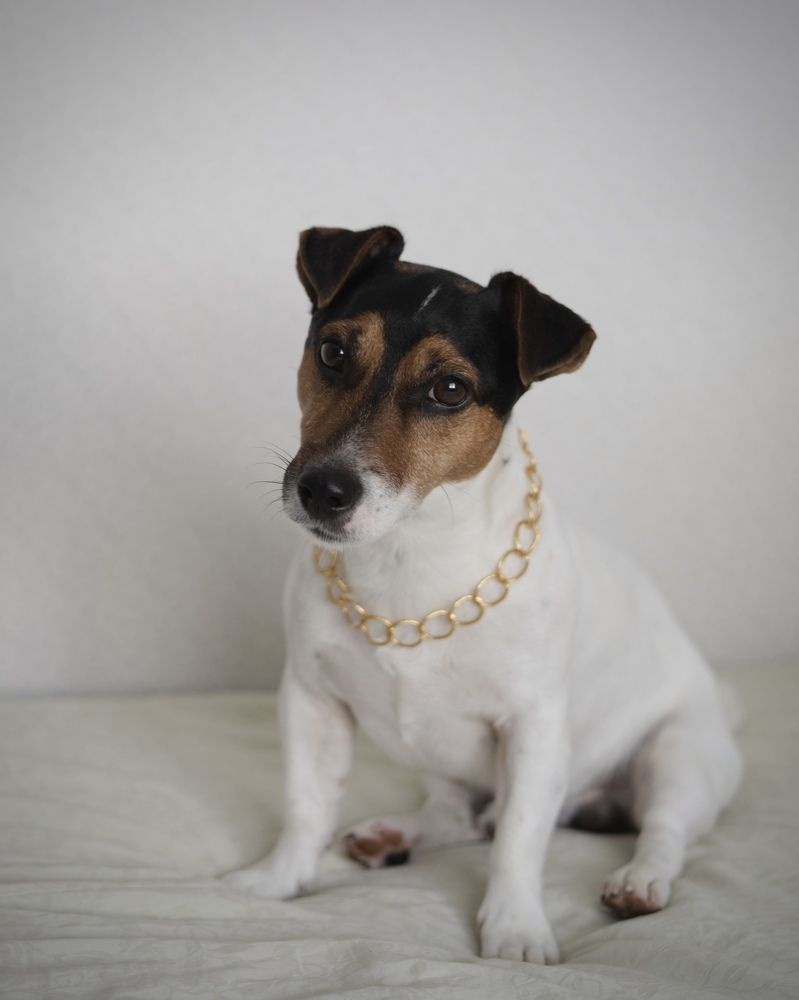 Фотография автора Ирина Мосько