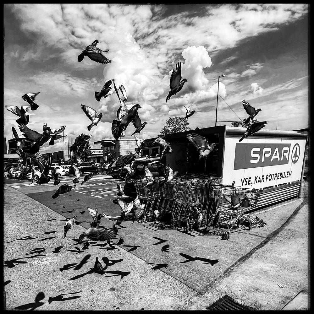 Photograph by Gašper Lešnik