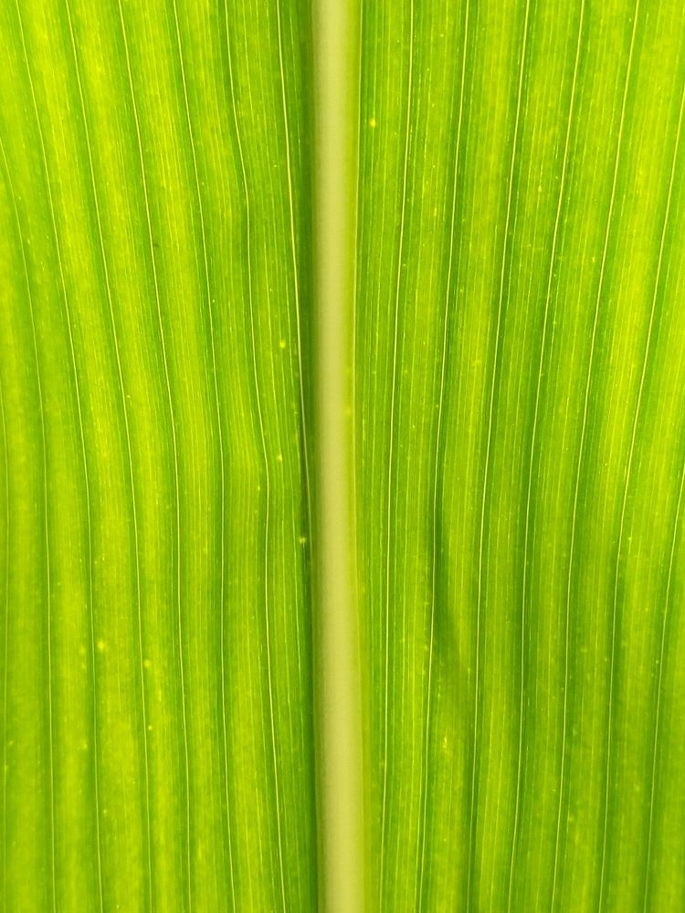 Photograph by sumit sitole