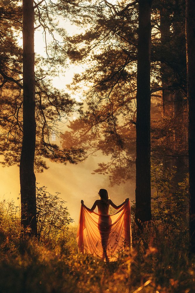 Фотография автора Виктория Долгополова