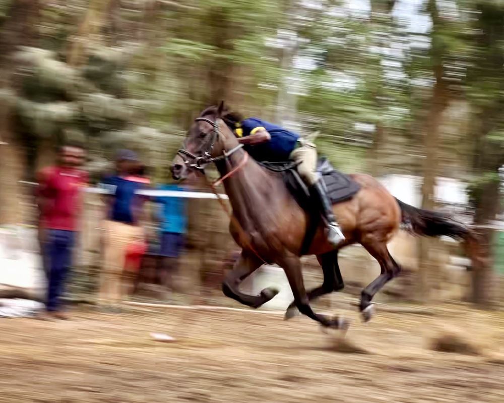 Photograph by Kedar Diwakar Mandakhalikar