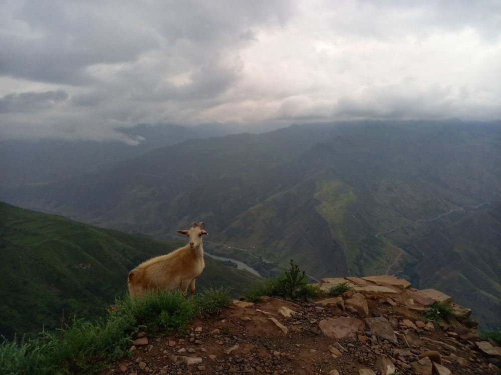 Photograph by Viktoria Vavilkina