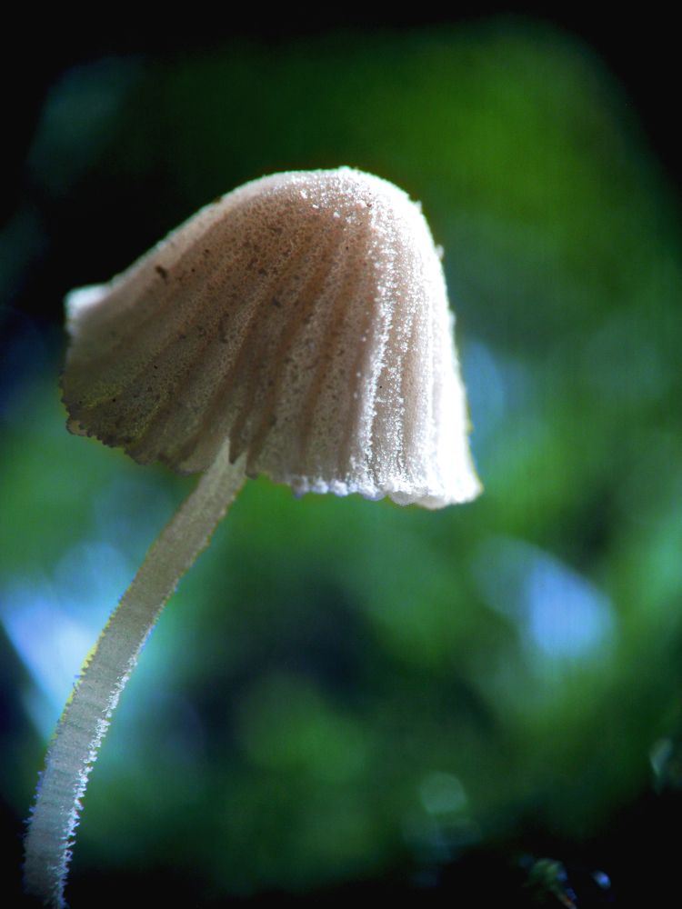 Photograph by Juan David Ardila Bayona