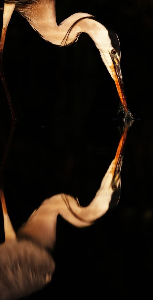 Photograph by Chris Brain