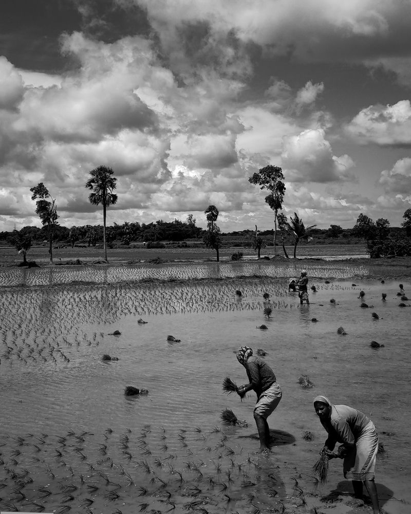 Photograph by Ayush Thakur