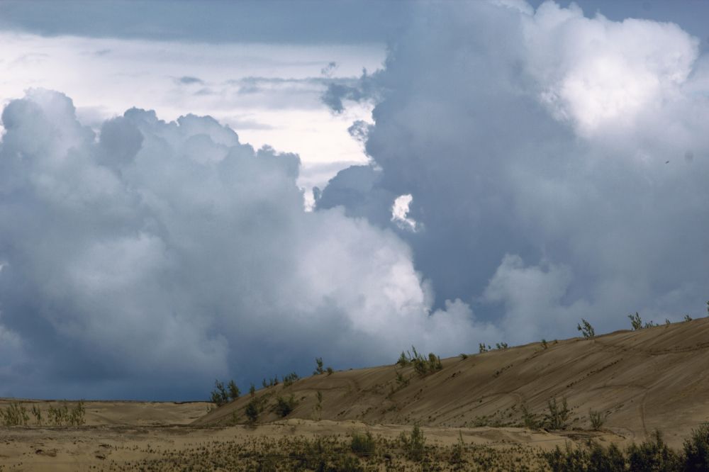 Photograph by Эльвира