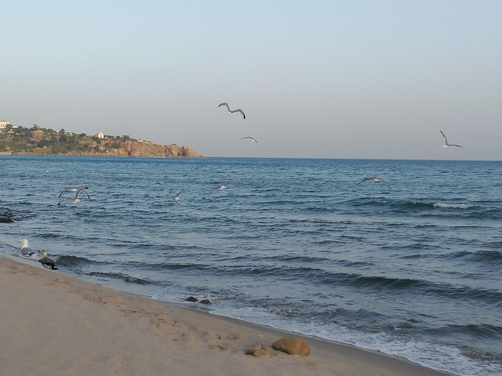 Фотография автора Danica Utjesinovic