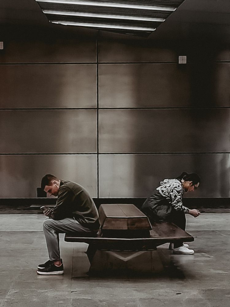 Фотография автора Светлана Алексеева