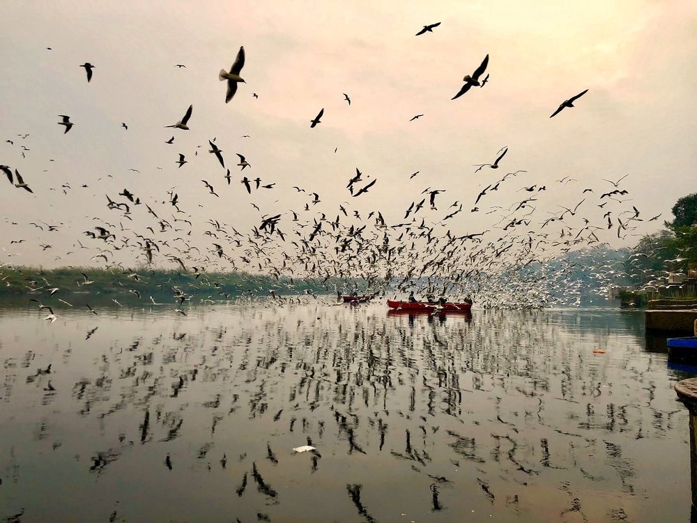 Photograph by Bhupendra Bagla