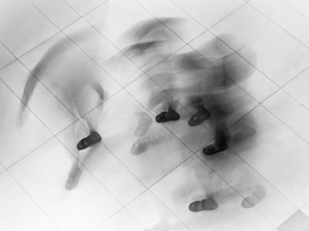 Photograph by Tuan Anh Tran