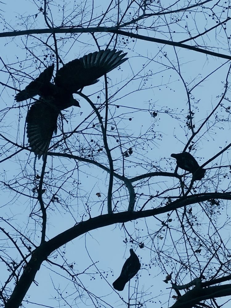 Photograph by Андрей Васильев